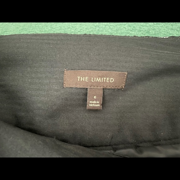 The Limited Lace Skirt - Picture 10 of 10